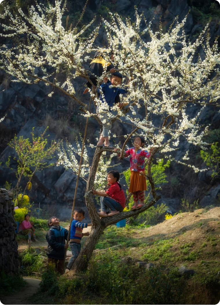 Ha Giang