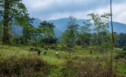 Da Bac Hoa Binh