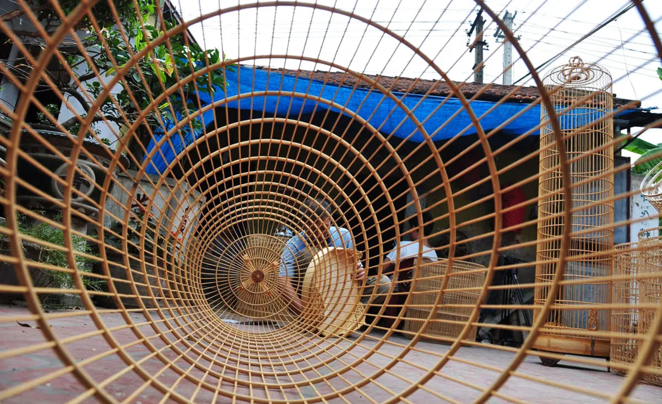 Hanoi - Vac village