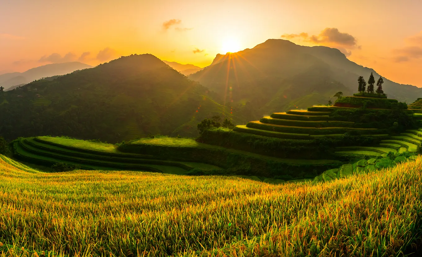 Hoang Su Phi