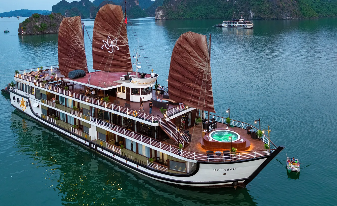 Orchid Cruise