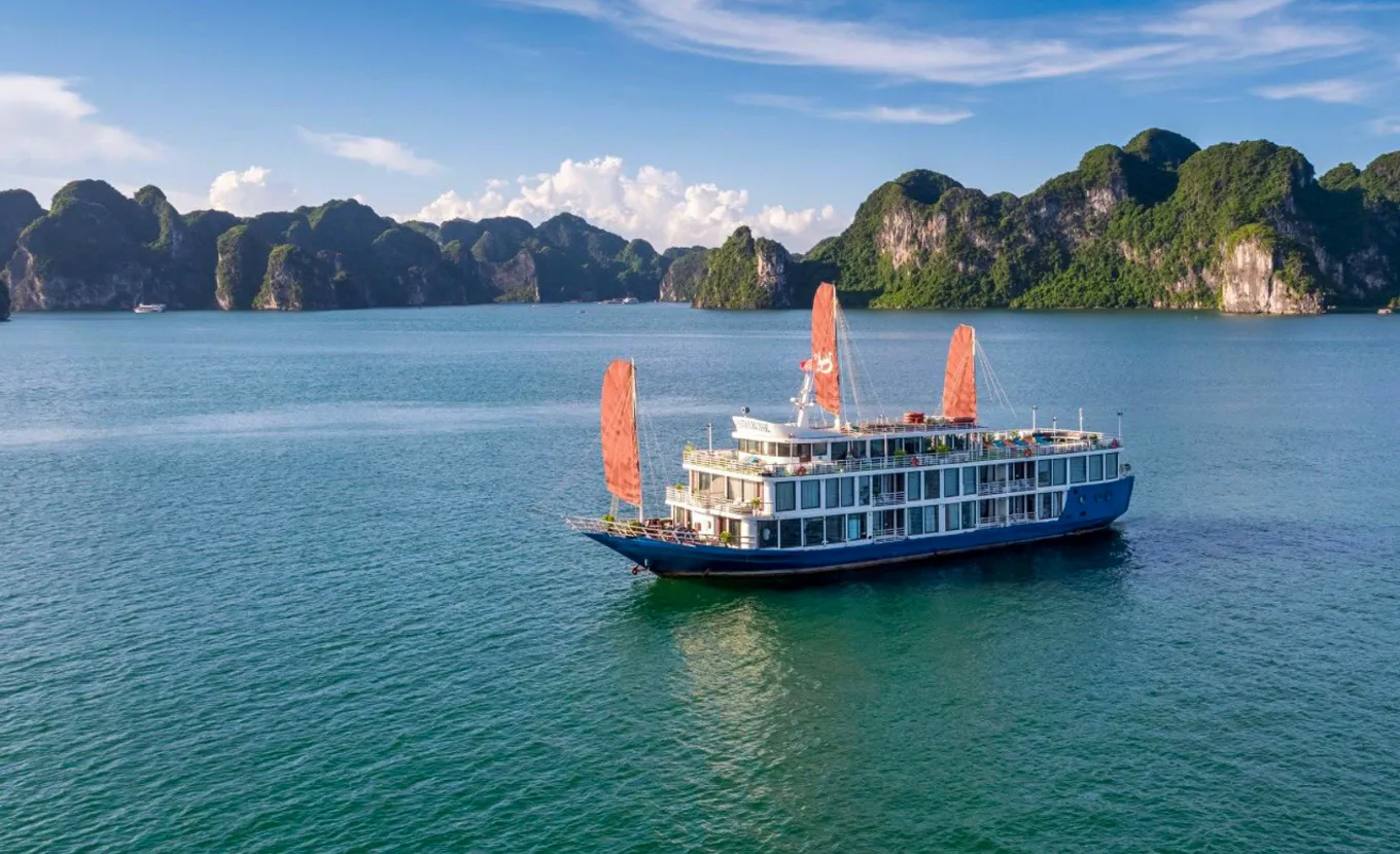 Verdure Lotus Classic Cruise