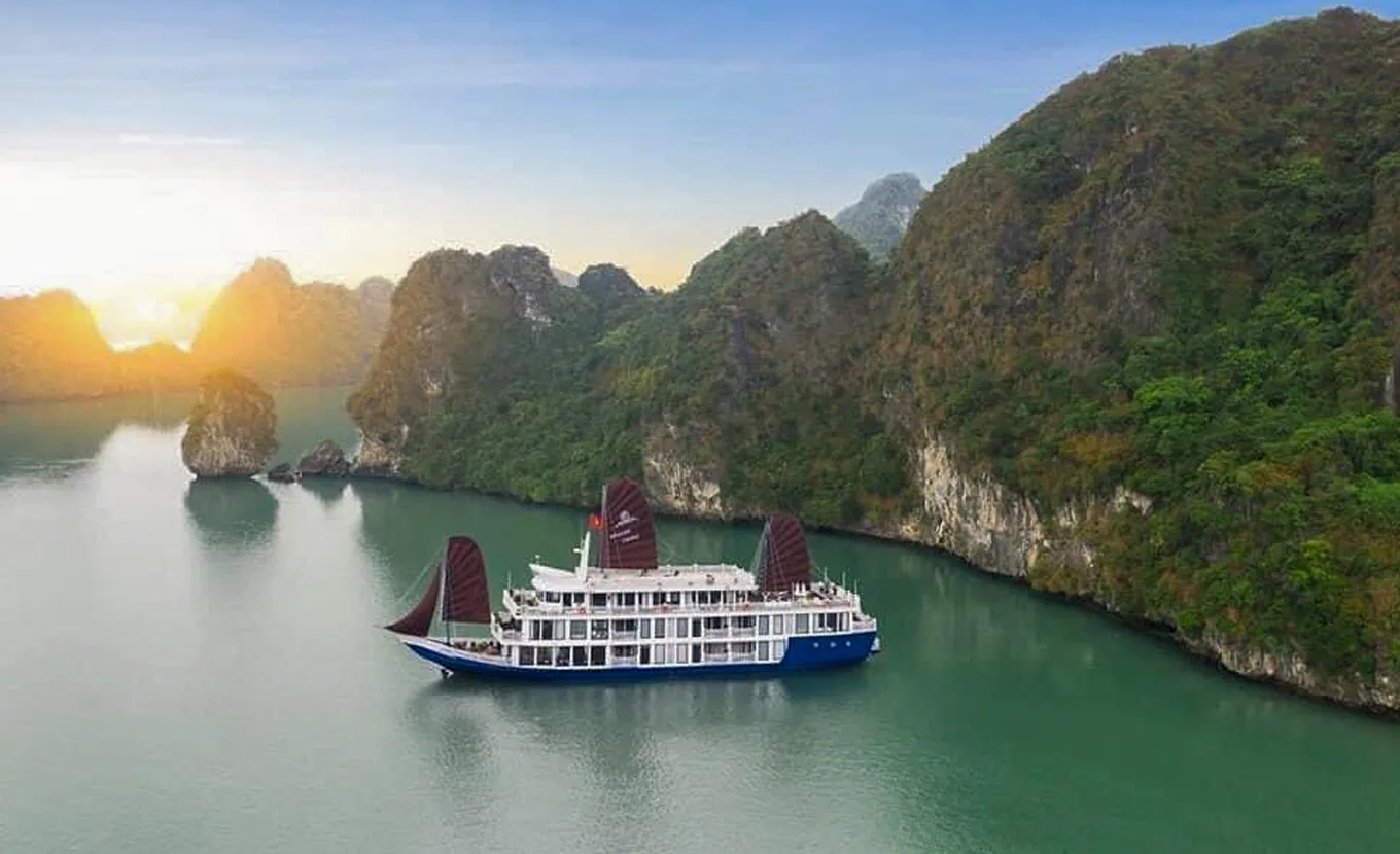 Verdure Lotus Premium Cruise