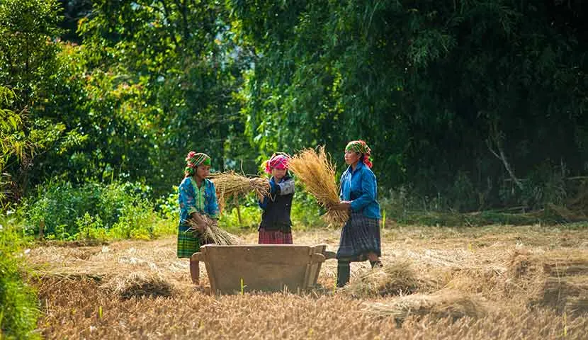 Grand North - West Vietnam Adventure