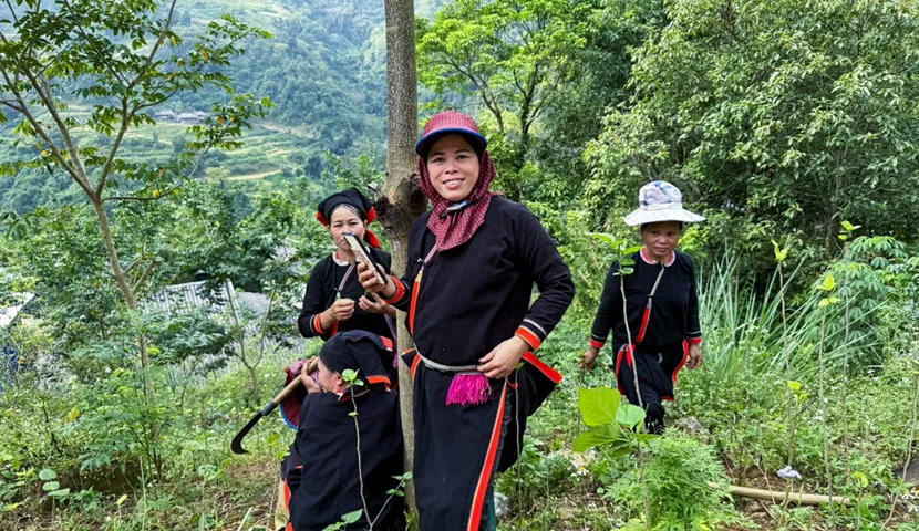 Hoang Su Phi Hiking: Rice Terraces & Mountain Tribes