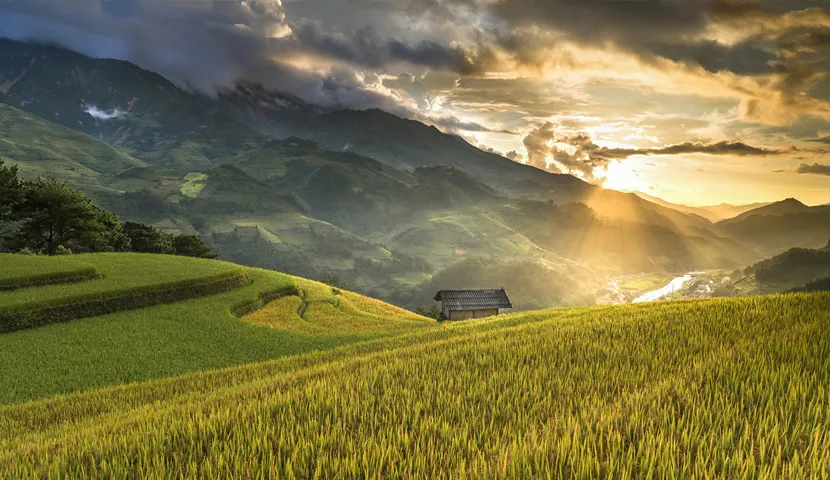Hoang Su Phi: Trekking & Homestay Experience