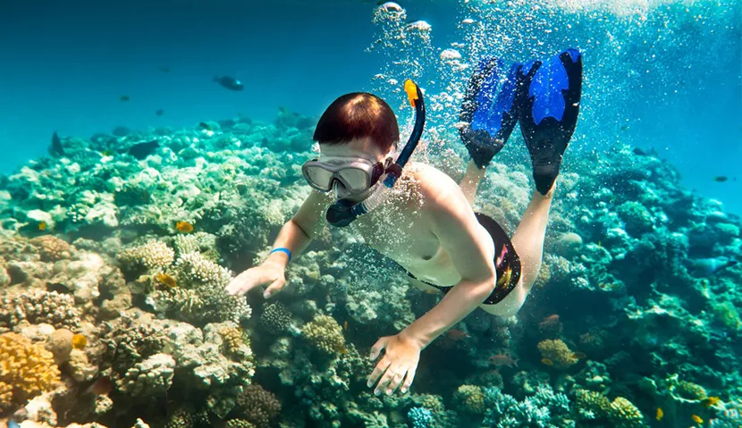 Plongée avec tuba et pêche au nord de l'île de Phu Quoc