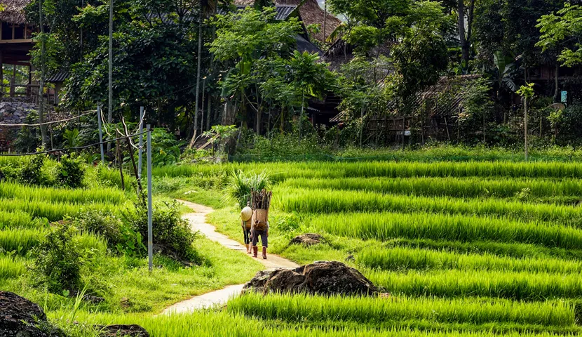 Ethnic Encounters & Scenic Landscapes of North Vietnam